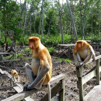 IMG-20171229-WA0011 (1)